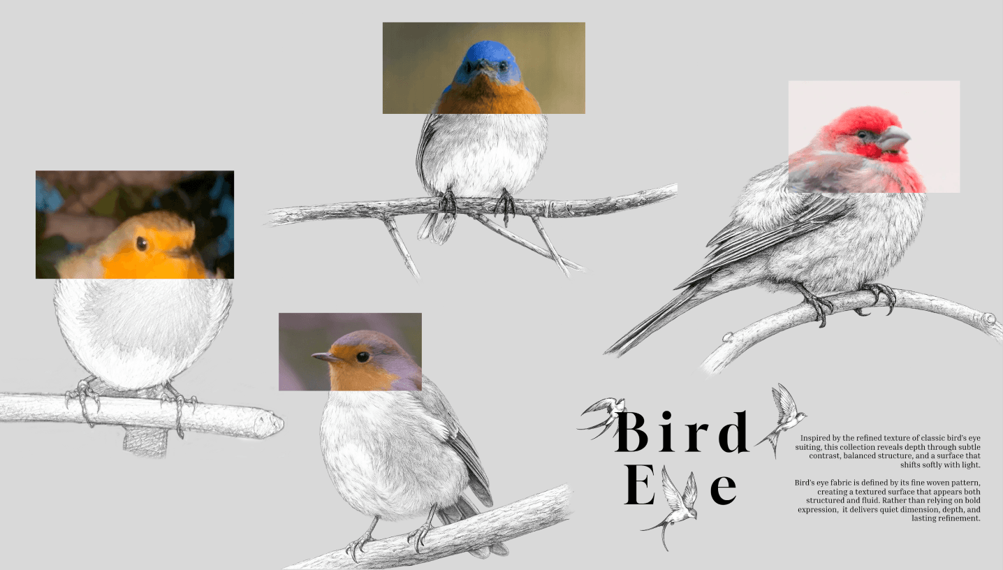 Bird Eye — 새 세밀 스케치 세 마리 위에 파랑새·로빈·빨간새·주황새 컬러 사진이 패치로 얹힌 콜라주