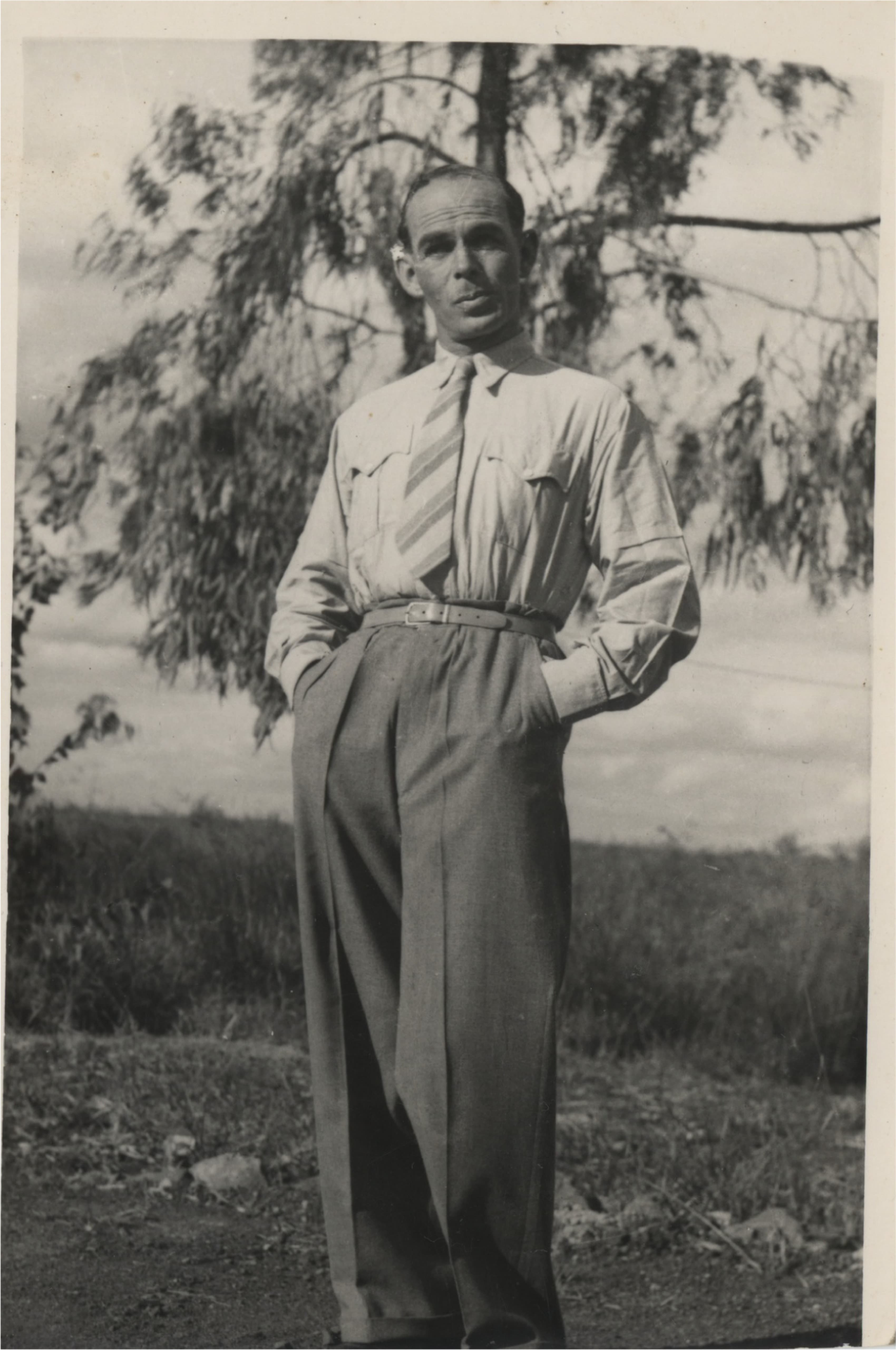THE POCKETS image 4