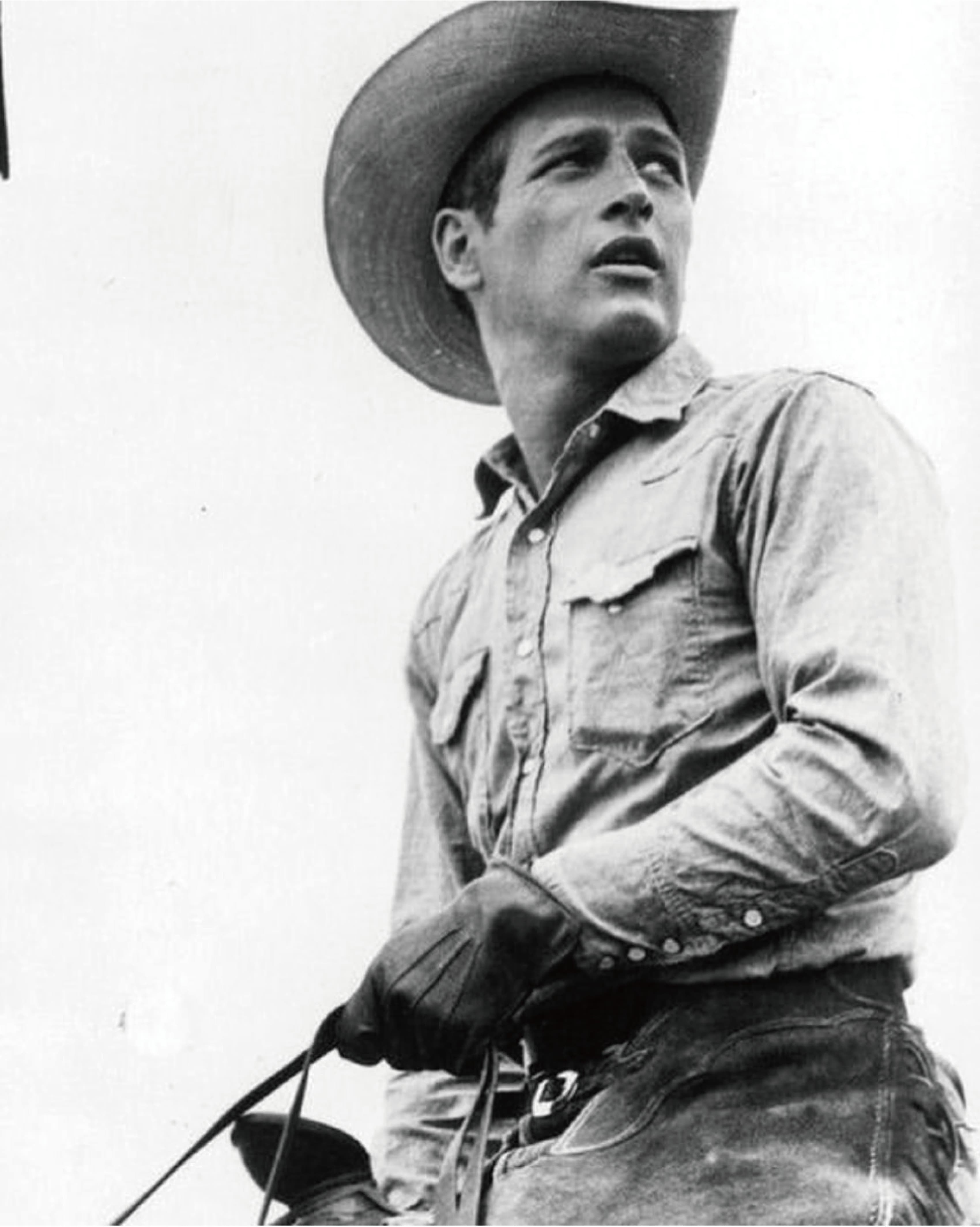 THE WESTERN SHIRT image 3